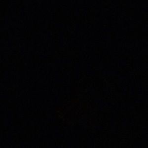 Meet your Posher, Xiuhua